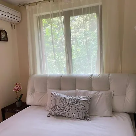 Apartmán Rich-1 Sp *