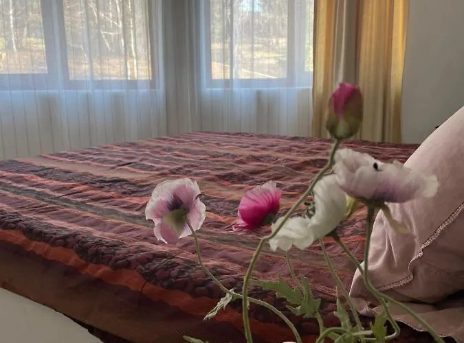 Rich-1 Sp Ράβντα